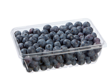 Image of Blueberries (Ship at your own risk) - 1 x 907 Grams